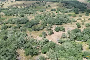 6154 Hwy 183 N, Goliad, TX 77963 - Photo 34