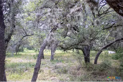 6154 Hwy 183 N, Goliad, TX 77963 - Photo 18