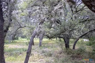 6154 Hwy 183 N, Goliad, TX 77963 - Photo 18