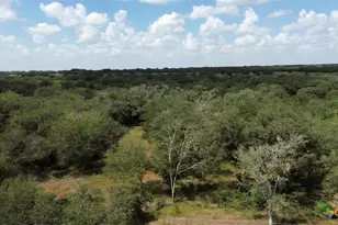 6154 Hwy 183 N, Goliad, TX 77963 - Photo 32