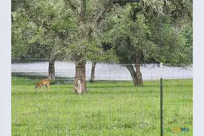 1684 Zengerle Rd, Cuero, TX 77954 - Photo 38