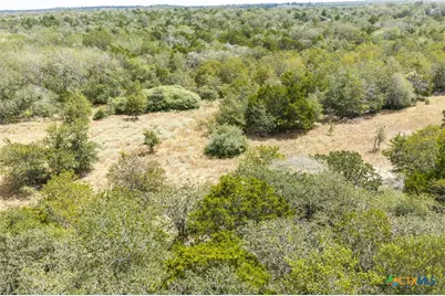 2195 Mule Creek Road, Harwood, TX 78632 - Photo 32