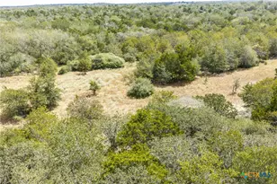 2195 Mule Creek Rd, Harwood, TX 78632 - Photo 32