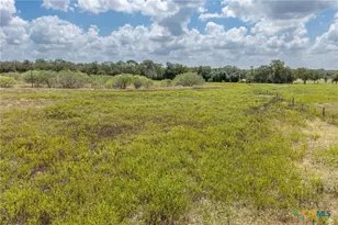 2195 Mule Creek Rd, Harwood, TX 78632 - Photo 46
