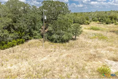 2195 Mule Creek Road, Harwood, TX 78632 - Photo 28