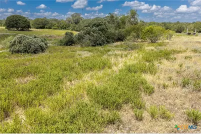 2195 Mule Creek Road, Harwood, TX 78632 - Photo 38