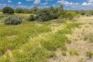 2195 Mule Creek Rd, Harwood, TX 78632 - Photo 38