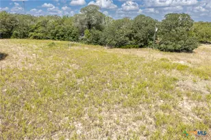 2195 Mule Creek Rd, Harwood, TX 78632 - Photo 26