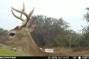 000 County Road 18 20 49 Acres Tract 1, Hallettsville, TX 77964 - Photo 20