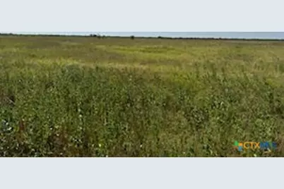 000 County Road 18 20.49 Acres Tract 1, Hallettsville, TX 77964 - Photo 16