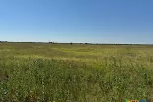 000 County Road 18 20 49 Acres Tract 1, Hallettsville, TX 77964 - Photo 16