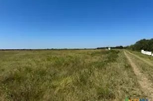 000 County Road 18 20 49 Acres Tract 1, Hallettsville, TX 77964 - Photo 14