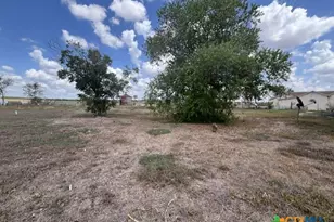 8448 W State Hwy 97, Cost, TX 78614 - Photo 6