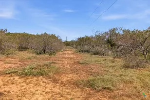 821 Co Rd 482, Gonzales, TX 78629 - Photo 4
