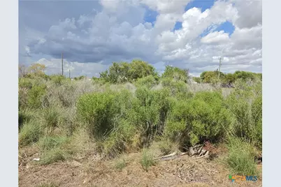 704 W Toledo Avenue, Seadrift, TX 77983 - Photo 2