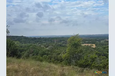 Tbd Reno Road, Gatesville, TX 76528 - Photo 8