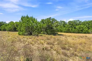 Tbd Lot 2 (10 68 Ac) Lipan Run, Fischer, TX 78623 - Photo 1