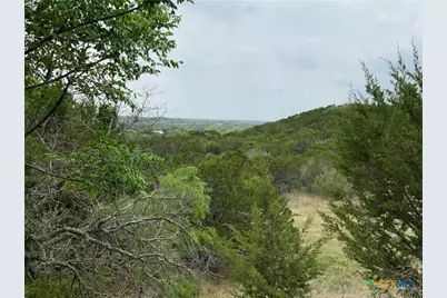 518 County Road 1403, Lometa, TX 76853 - Photo 4