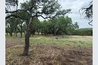 518 County Road 1403, Lometa, TX 76853 - Photo 10