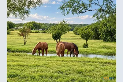 417 County Road 60, Gatesville, TX 76528 - Photo 6