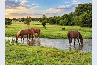 417 County Road 60, Gatesville, TX 76528 - Photo 44
