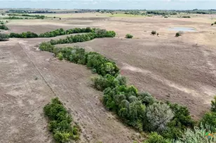 Tract 2 County Road 366, Shiner, TX 77984 - Photo 2