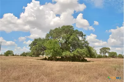 Tract 2 County Road 366, Shiner, TX 77984 - Photo 8