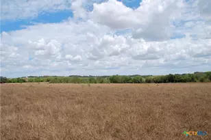 Tract 2 County Road 366, Shiner, TX 77984 - Photo 14