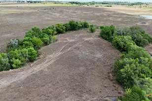 Tract 3 County Road 366, Shiner, TX 77984 - Photo 28