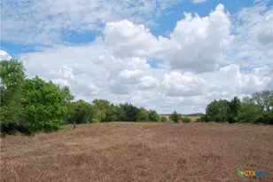Tract 3 County Road 366, Shiner, TX 77984 - Photo 16