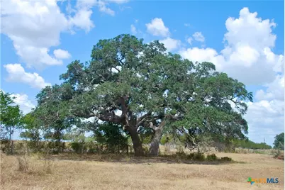 Tract 4 County Road 366, Shiner, TX 77984 - Photo 16