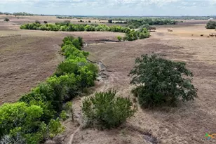 Tract 4 County Road 366, Shiner, TX 77984 - Photo 8