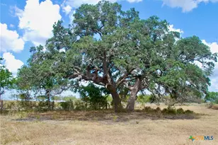 Tract 4 County Road 366, Shiner, TX 77984 - Photo 2