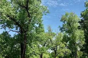 588 County Rd 430, Goldthwaite, TX 76844 - Photo 16