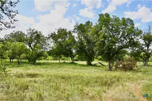 1345 Pr 5001, Richland Springs, TX 76871 - Photo 20