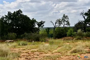 1345 Pr 5001, Richland Springs, TX 76871 - Photo 12