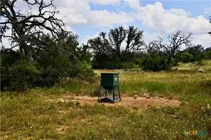 1345 Pr 5001, Richland Springs, TX 76871 - Photo 14