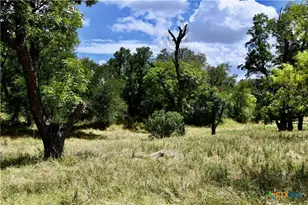 1345 Pr 5001, Richland Springs, TX 76871 - Photo 22