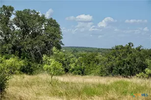 1345 Pr 5001, Richland Springs, TX 76871 - Photo 26