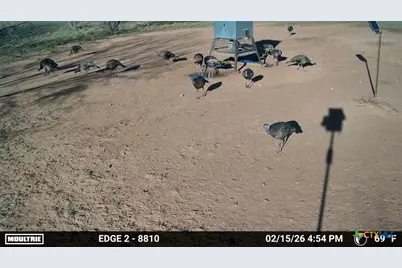 1345 Pr 5001, Richland Springs, TX 76871 - Photo 32