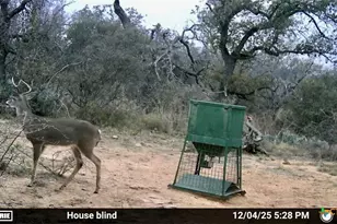 1345 Pr 5001, Richland Springs, TX 76871 - Photo 30