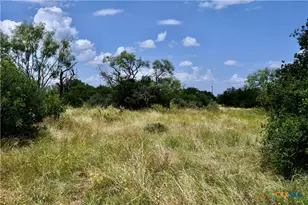 1345 Pr 5001, Richland Springs, TX 76871 - Photo 10