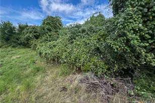 2300 Co Rd 147, Gatesville, TX 76528 - Photo 34