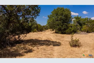 00 County Road 2644, Lometa, TX 76853 - Photo 8
