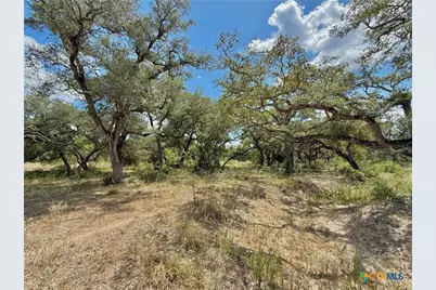 4668 Old Hwy Rd, Inez, TX 77968 - Photo 18