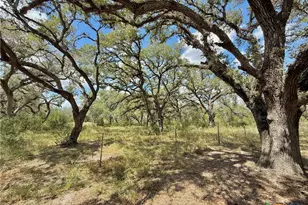 4668 Old Hwy Rd, Inez, TX 77968 - Photo 10