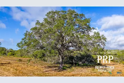 1776 Fm 1351, Goliad, TX 77963 - Photo 8