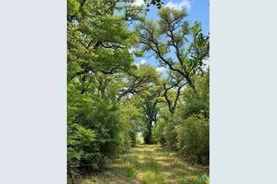 1320 Cr 388, Waelder, TX 78959 - Photo 30