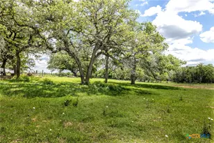 6589 State Hwy 304, Harwood, TX 78632 - Photo 30