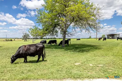 6589 State Highway 304, Harwood, TX 78632 - Photo 32